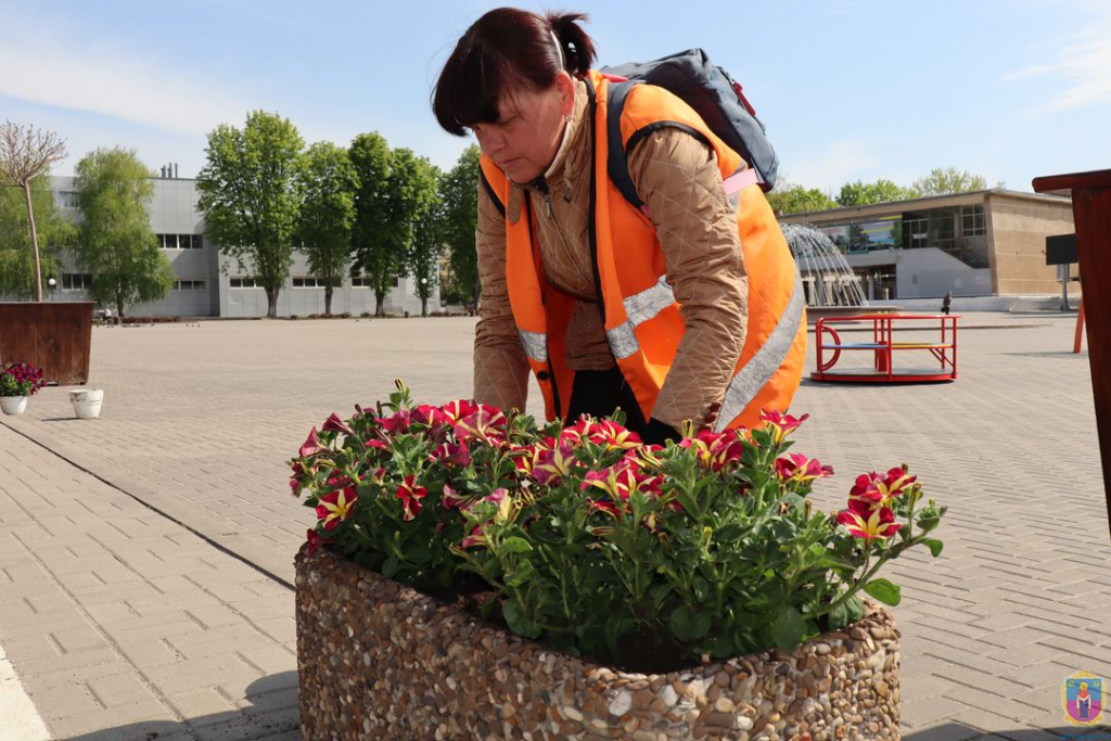 у покрові висаджують квіти - зображення 5